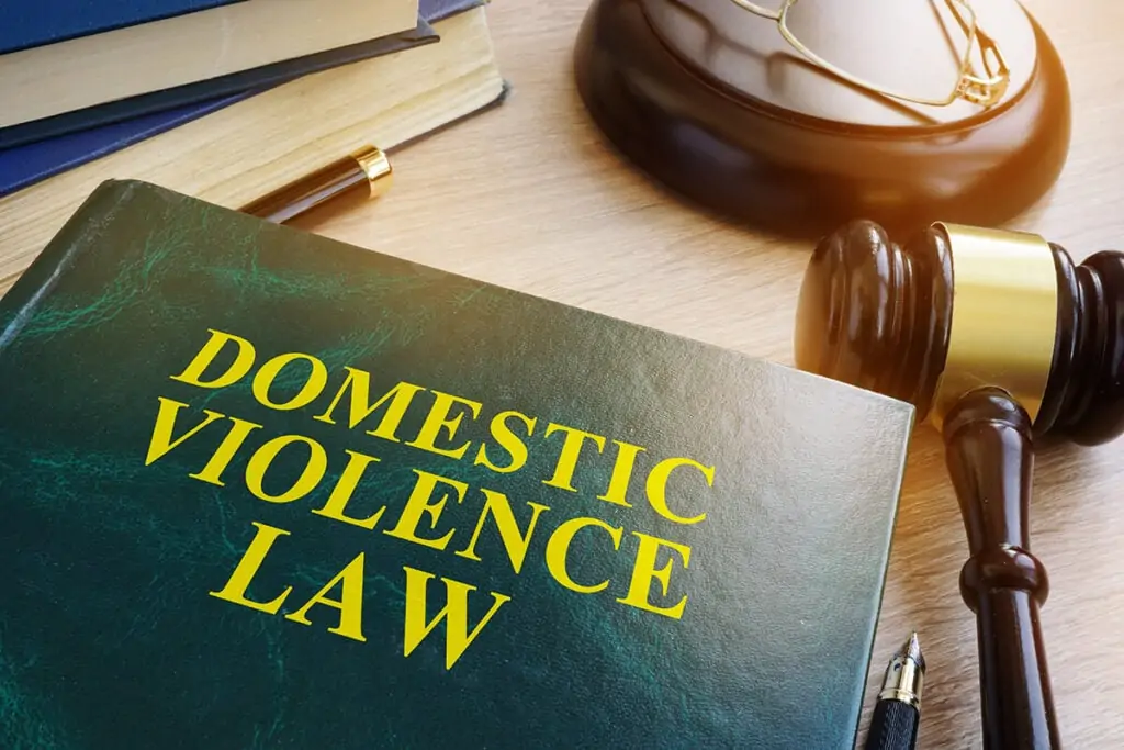 Book titled 'Domestic Violence Law' with a gavel and pens on a desk.